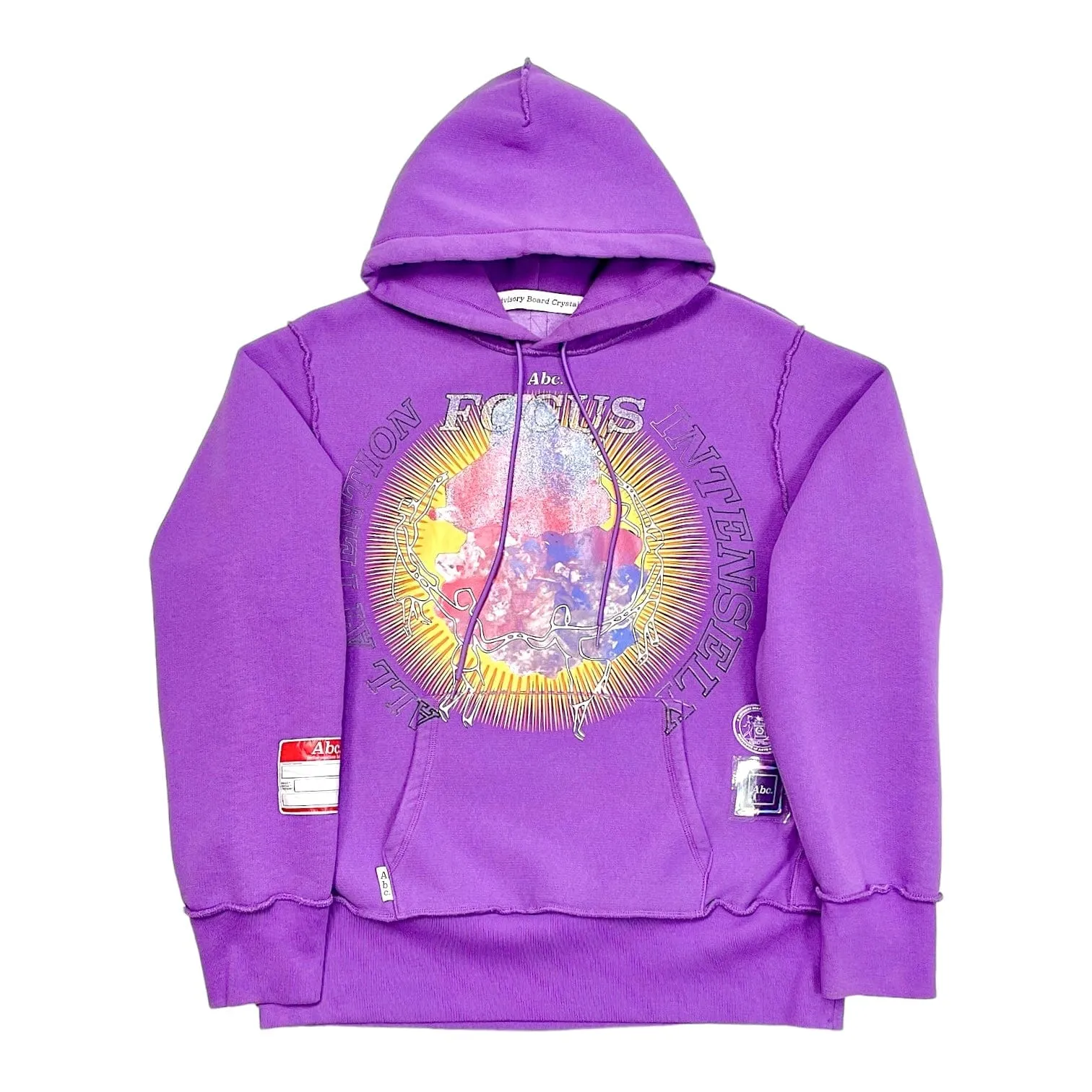 Advisory Board Crystals Planet Saving 2 (GR8 Exclusive) Hooded Sweatshirt Purple Pre-Owned