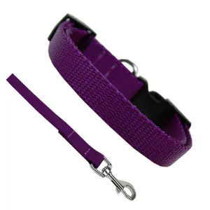 Basic Style Collar and Lead Set — Purple