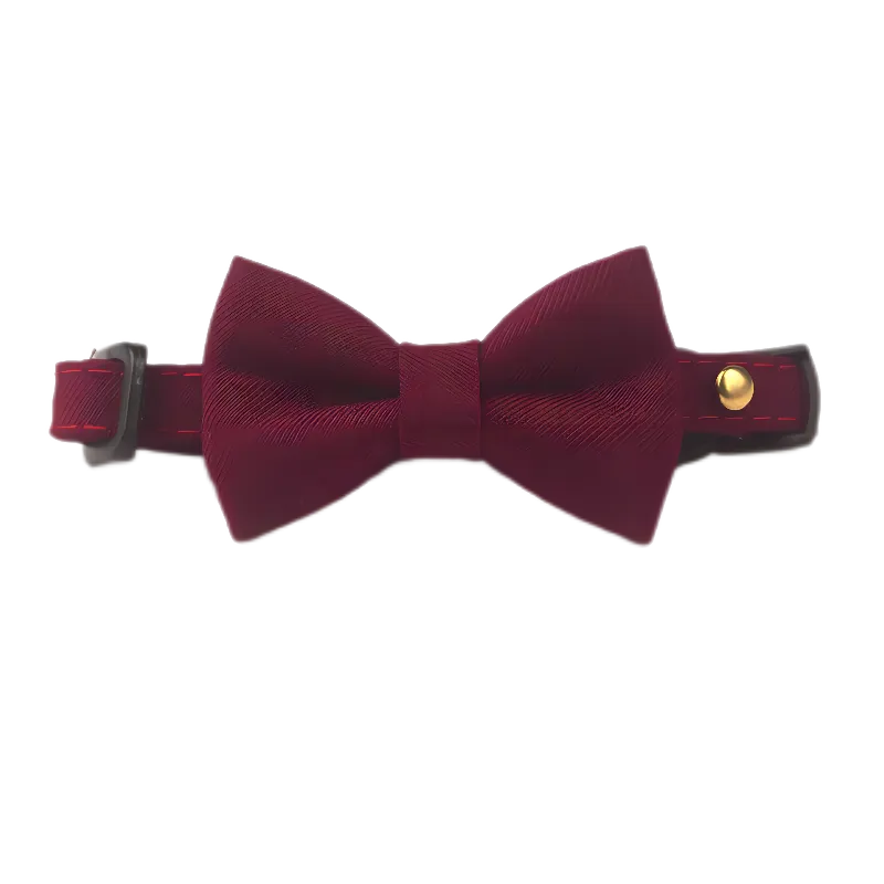 Cat Suit Collar Bowtie