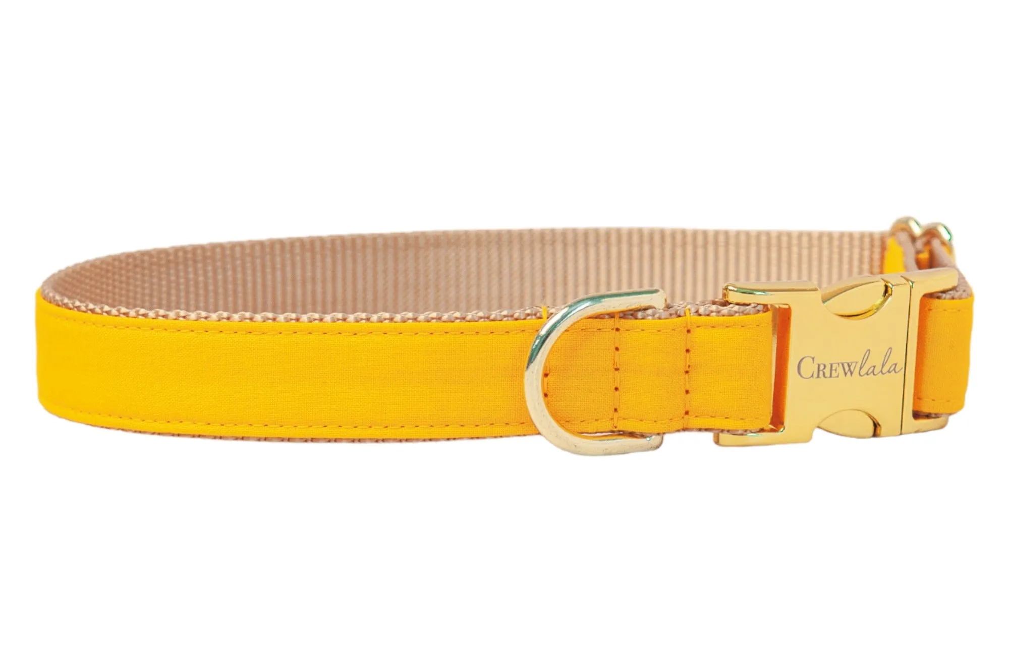 Golden Yellow Dog Collar