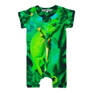 Inchworm Alley Organic Short Romper - Chameleon - 0 to 3 Months