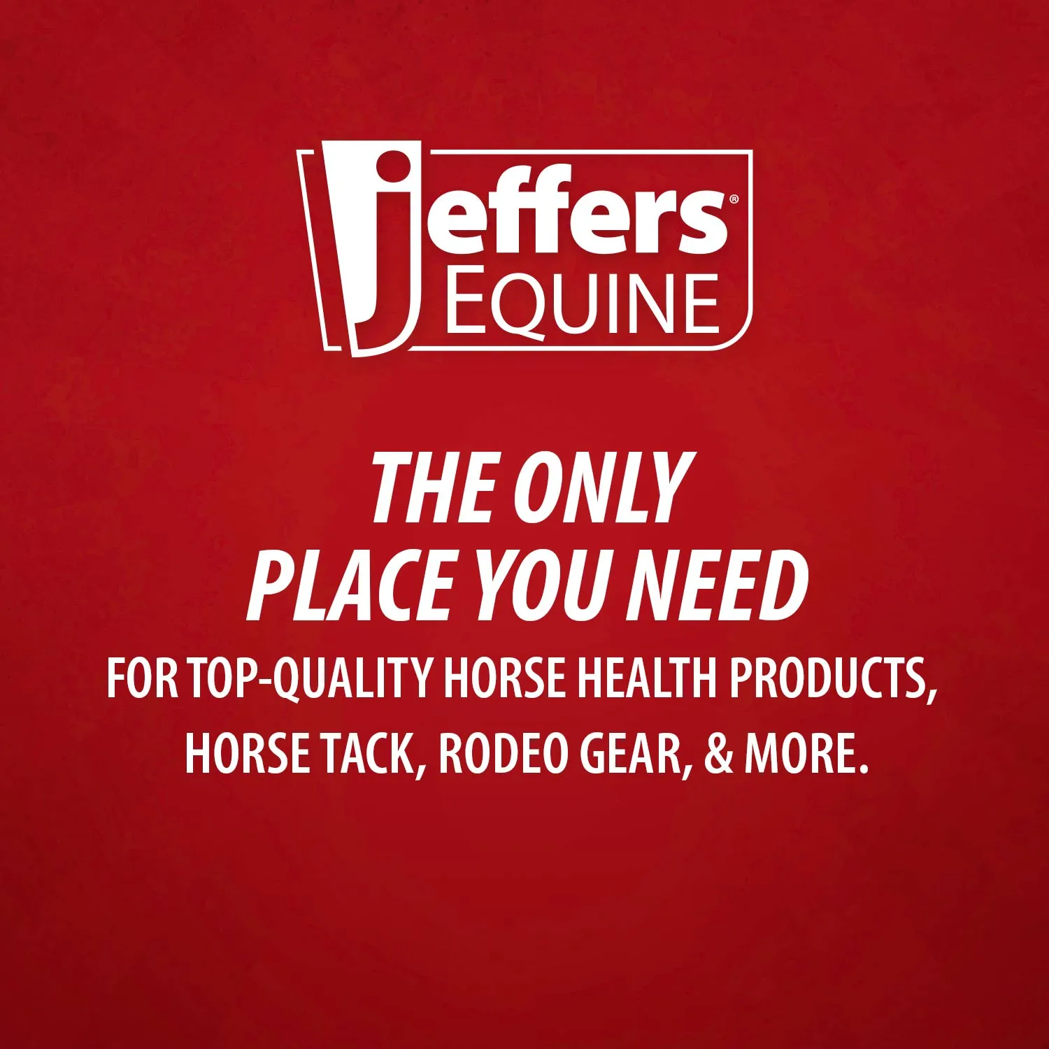 Jeffers Romper Stomper Horse Turnout Sheet, 1680D, 0 gram fill, Brown