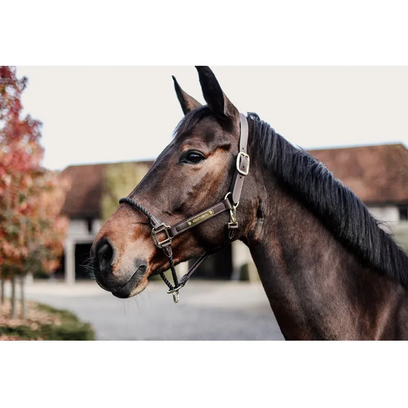 Kentucky Rope Headcollar