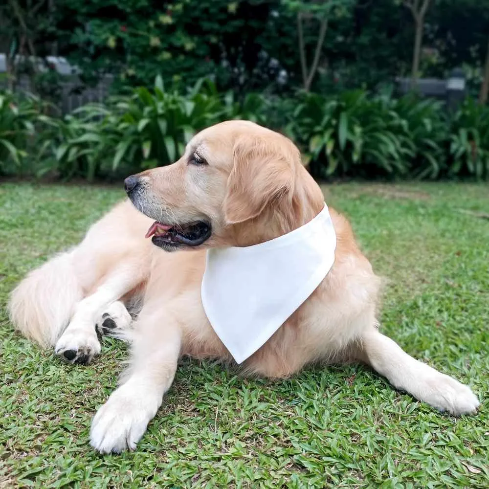 RuffCo Handcrafted Reversible Bandana For Cats & Dogs (Red Batik)