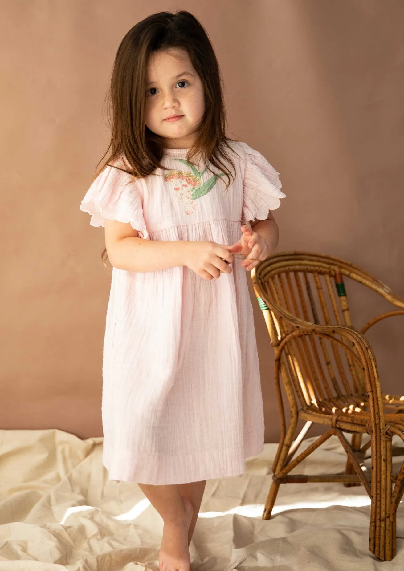 Sleigh Ride Dress - Pink Candy