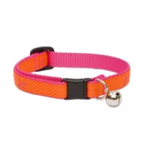 Sunset Orange W/ Bell Cat Collar