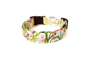 Tropical Summer Dog Collar